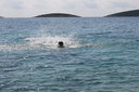 gal/cro 08/_thb_small-IMG_4918.JPG